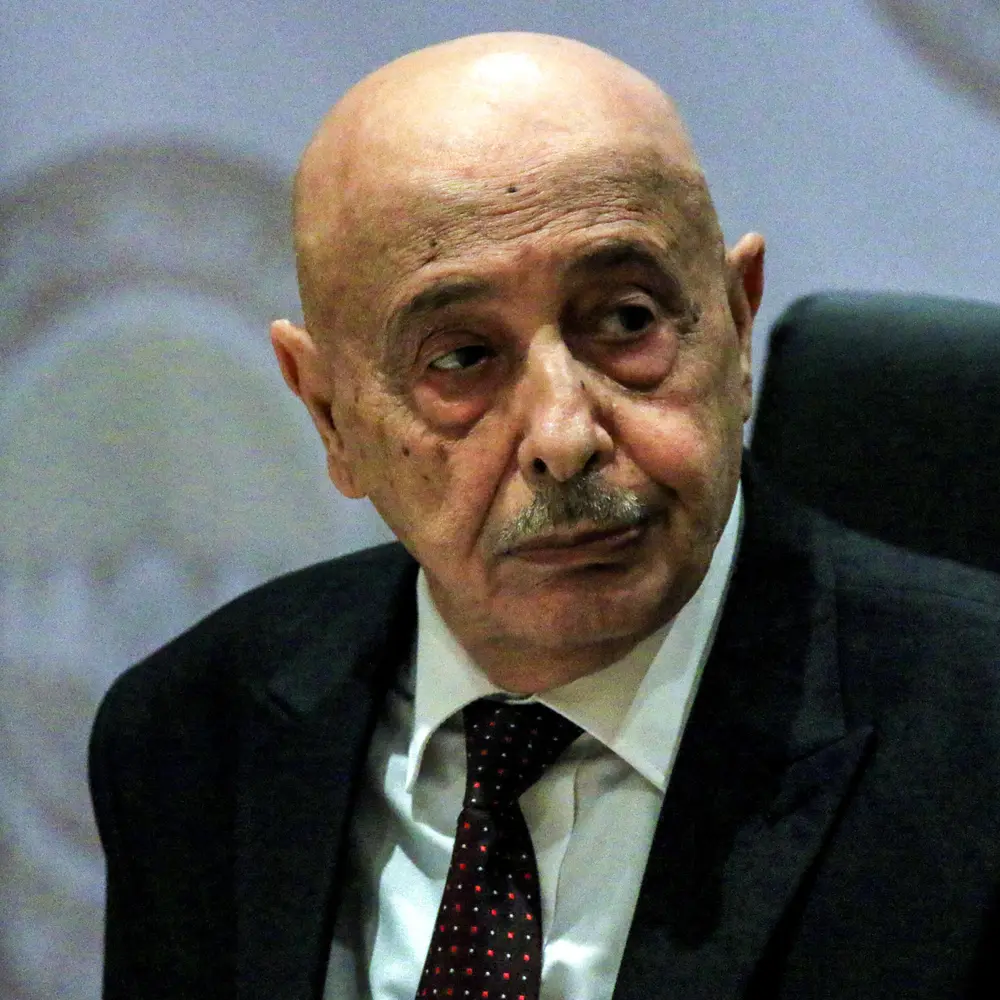 المستشار عقيلة صالح